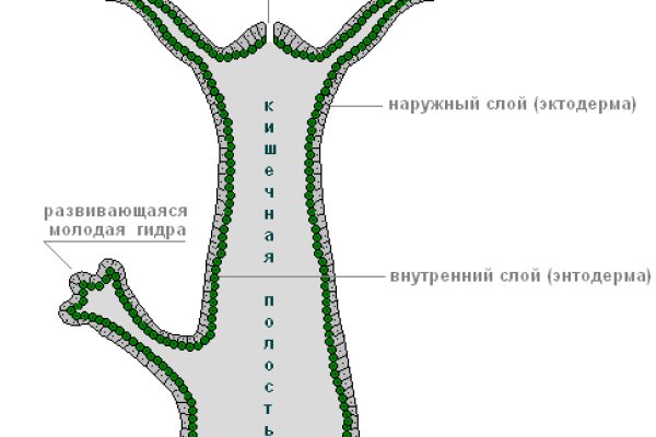 Ссылка на кракен в тор браузере kr2web in