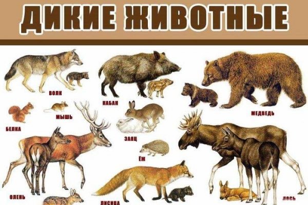 Как войти в кракен через тор