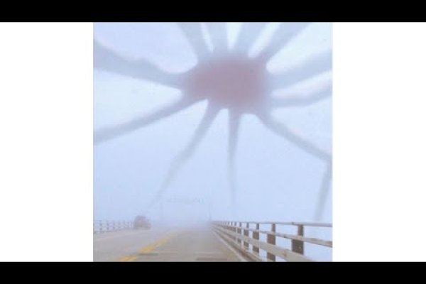 Kraken tor зеркало
