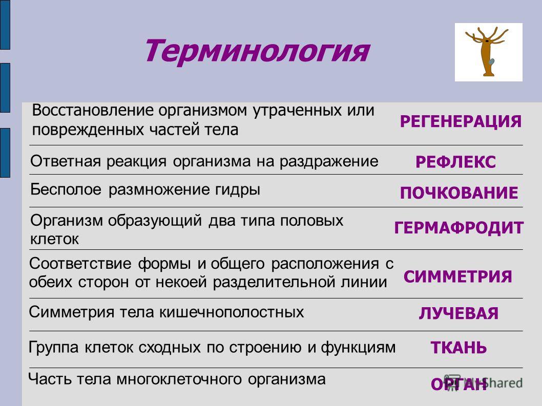 Кракен kr2web in